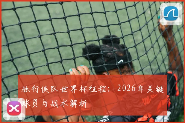 独行侠队世界杯征程：2026年关键球员与战术解析