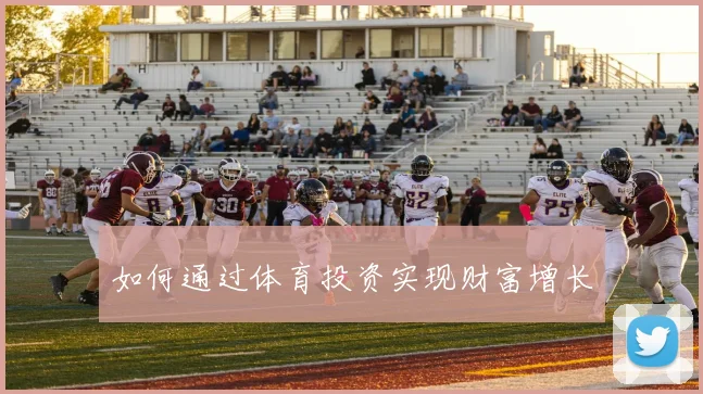 如何通过体育投资实现财富增长