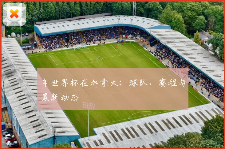 年世界杯在加拿大：球队、赛程与最新动态