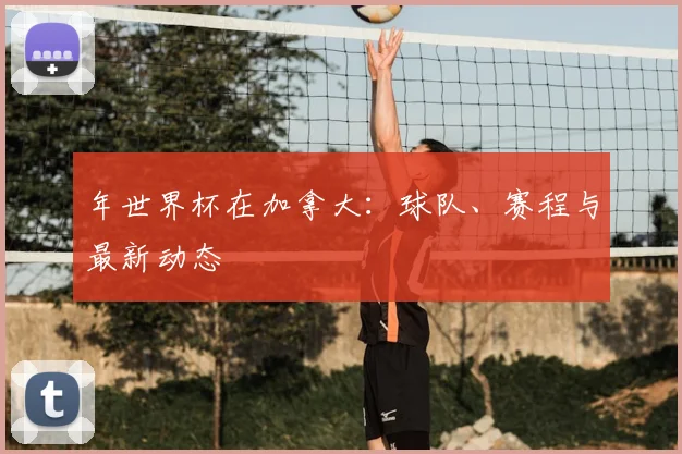 年世界杯在加拿大：球队、赛程与最新动态